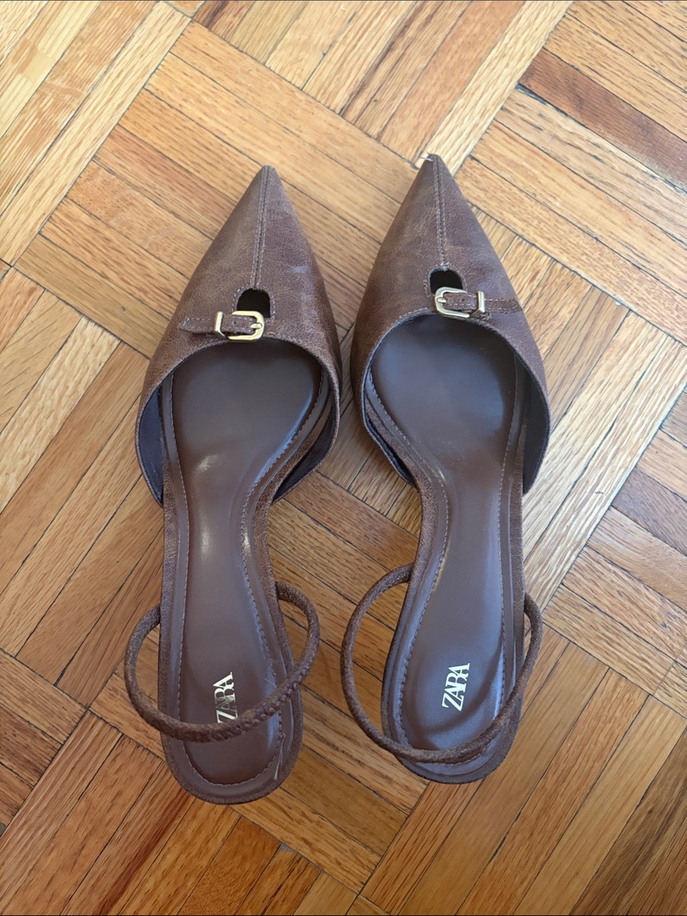 Zara Brown Pointed Slingback Flats with Gold Buckle